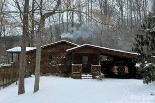 23 Hunting Ldg Dr, Black Mountain, NC 28711 - Photo 33