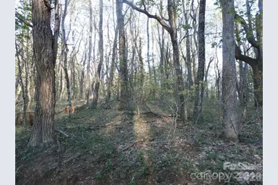 288 Firetower Road, Spruce Pine, NC 28777 - Photo 23