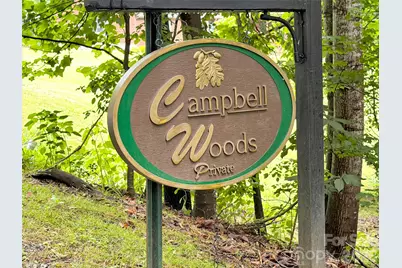 33 Buttercup Place, Maggie Valley, NC 28751 - Photo 3