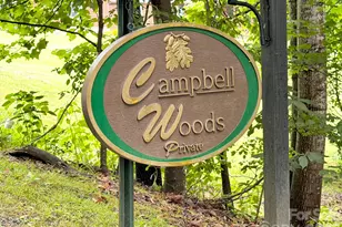 33 Buttercup Pl, Maggie Valley, NC 28751 - Photo 3