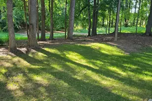 18813 Coachmans Trace, Cornelius, NC 28031 - Photo 29