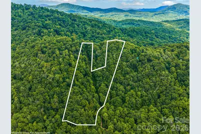 520 Patricia Road, Black Mountain, NC 28711 - Photo 25