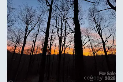 520 Patricia Road, Black Mountain, NC 28711 - Photo 33