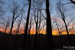 520 Patricia Rd, Black Mountain, NC 28711 - Photo 33
