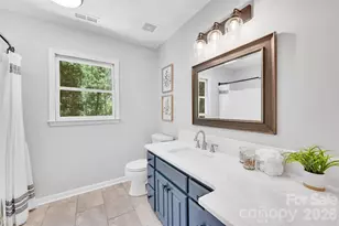 1433 Lurecliff Pl, Fort Mill, SC 29708 - Photo 31