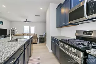 147 Morning Gap Pkwy, Fort Mill, SC 29715 - Photo 15