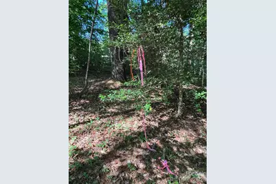 000 Stillwater Road, Boomer, NC 28606 - Photo 21