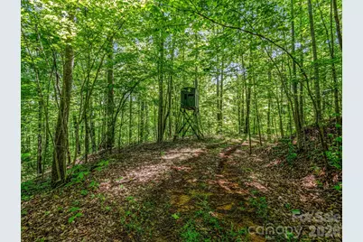 980 Mountain Forest Drive, Union Mills, NC 28167 - Photo 35