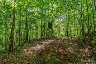 980 Mountain Forest Dr, Union Mills, NC 28167 - Photo 35