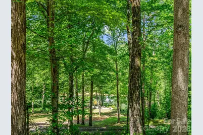 980 Mountain Forest Drive, Union Mills, NC 28167 - Photo 37