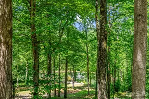 980 Mountain Forest Dr, Union Mills, NC 28167 - Photo 37