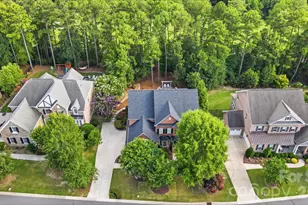 16601 Doves Canyon Ln, Charlotte, NC 28278 - Photo 3