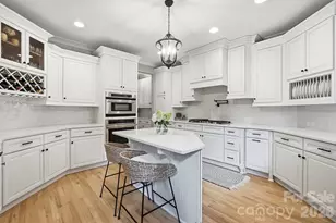 16601 Doves Canyon Ln, Charlotte, NC 28278 - Photo 9
