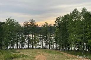 2199 Castle Peak Mountain, Connelly Springs, NC 28612 - Photo 5