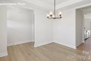 110 Waterfall Valley Way, Mooresville, NC 28117 - Photo 19