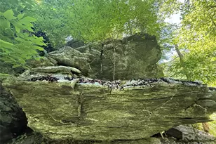 1590 Shulls Mill Rd, Boone, NC 28607 - Photo 21
