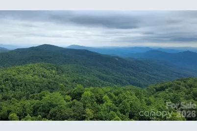826 Shumont Road, Black Mountain, NC 28711 - Photo 29