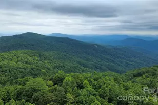 826 Shumont Rd, Black Mountain, NC 28711 - Photo 29