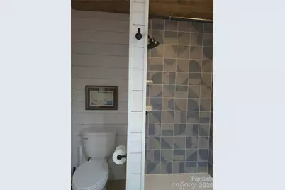 826 Shumont Road, Black Mountain, NC 28711 - Photo 23