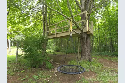 826 Shumont Road, Black Mountain, NC 28711 - Photo 27