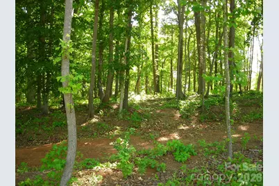 1029 Nutall Oak Lane, Belmont, NC 28012 - Photo 5