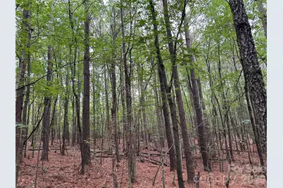 3909 Wightman Church Road, Polkton, NC 28135 - Photo 45