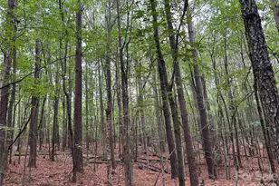 3909 Wightman Church Rd, Polkton, NC 28135 - Photo 45
