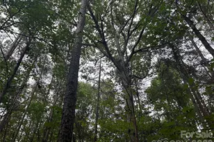 3909 Wightman Church Rd, Polkton, NC 28135 - Photo 43