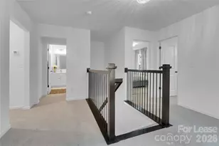 242 Lacewing Dr, Charlotte, NC 28214 - Photo 33