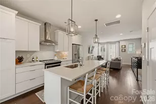 1747 Cannon View Ln, Charlotte, NC 28208 - Photo 3