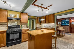 2212 Green River Rd, Zirconia, NC 28790 - Photo 13