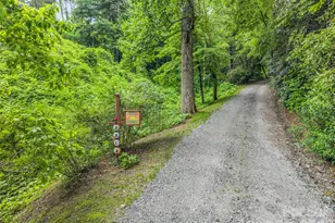 2212 Green River Rd, Zirconia, NC 28790 - Photo 45