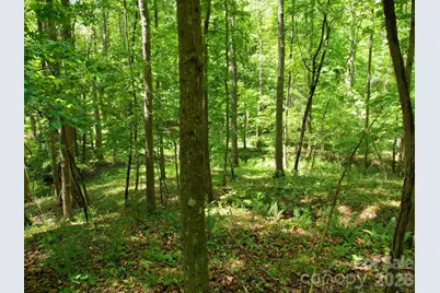 Tbd Beechwood Road, Mooresboro, NC 28114 - Photo 7