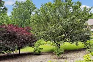 99 Mary Gray Dr, Clyde, NC 28721 - Photo 45