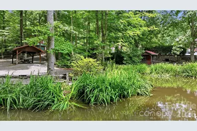 248 Brannon Forest Drive, Waynesville, NC 28785 - Photo 41