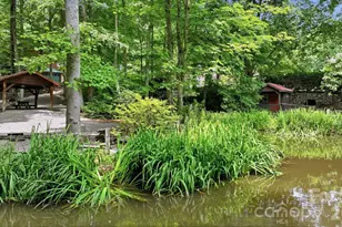 248 Brannon Forest Dr, Waynesville, NC 28785 - Photo 41