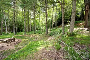 Wr 29 Sierra Trail, Elk Park, NC 28622 - Photo 17