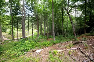 Wr 29 Sierra Trail, Elk Park, NC 28622 - Photo 19