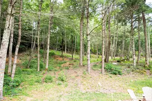Wr 29 Sierra Trail, Elk Park, NC 28622 - Photo 29