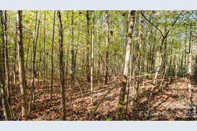 000 Industrial Park Road, Lincolnton, NC 28092 - Photo 15