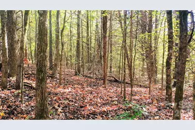 00 Industrial Park Road, Lincolnton, NC 28092 - Photo 15