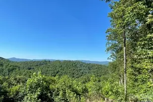 1300 Towery Trace, Ellenboro, NC 28040 - Photo 19