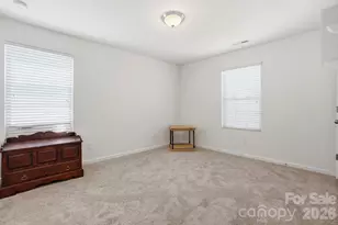 1231 Tranquil Falls Ln, Matthews, NC 28104 - Photo 23