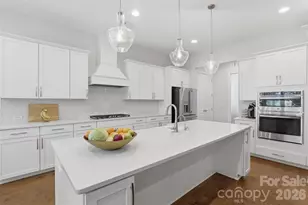 18041 Culross Ln, Charlotte, NC 28278 - Photo 9