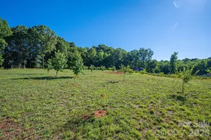 1484 Null Rd, Lincolnton, NC 28092 - Photo 39