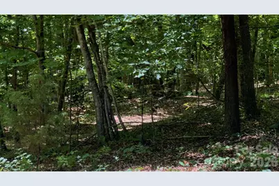 9818 S Nc 9 Lane, Columbus, NC 28722 - Photo 15