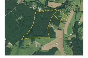 9818 S Nc 9 Ln, Columbus, NC 28722 - Photo 1