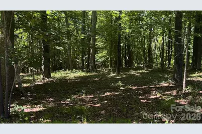 9818 S Nc 9 Lane, Columbus, NC 28722 - Photo 13