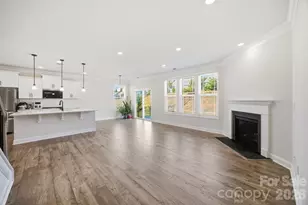 125 Saidin Ln, Troutman, NC 28166 - Photo 3