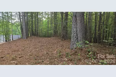 154 Oak Point Lane #3, Stony Point, NC 28678 - Photo 3